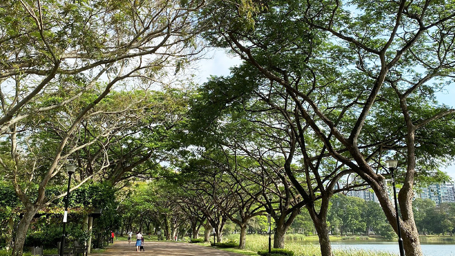 park detail carousel