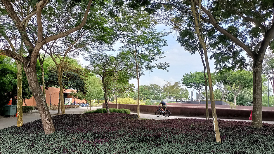 park detail carousel