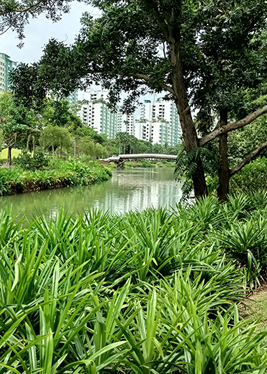 Punggol Waterway Park