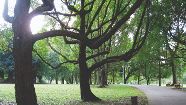 Heritage appreciation