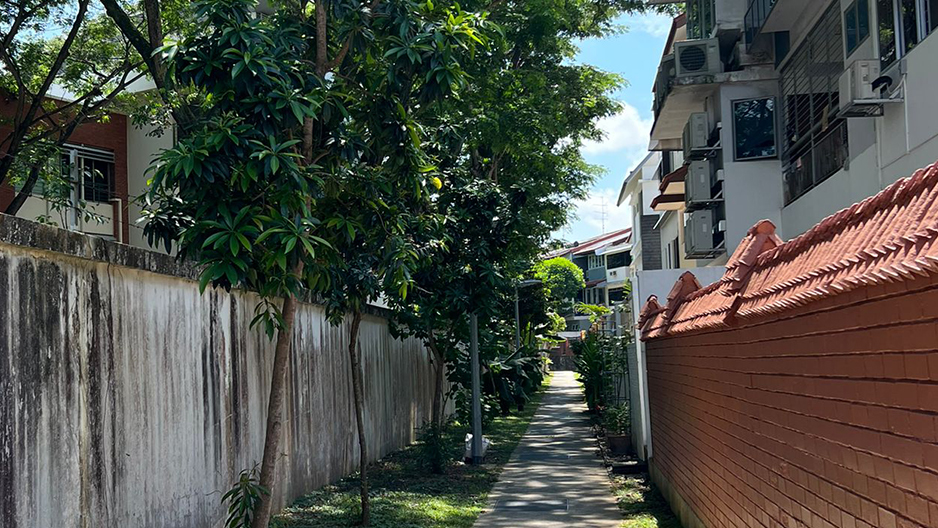 park detail carousel