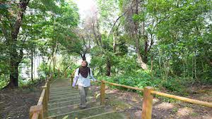 Ocean Network Express Coastal Forest Trail