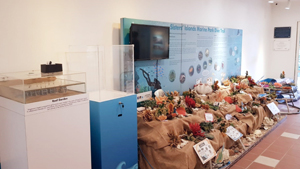 Public Gallery at the Marine Park Outreach and Education Centre