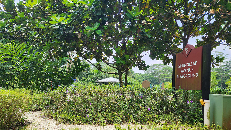 park detail carousel
