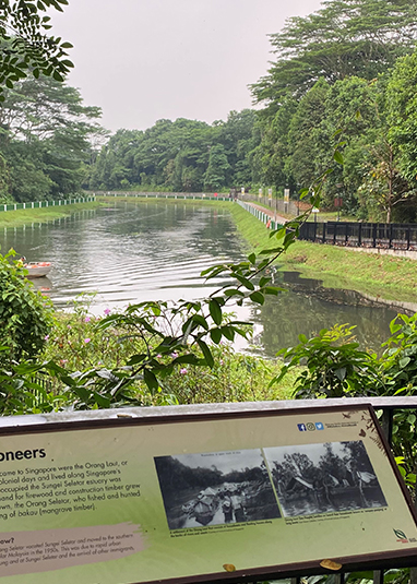 Springleaf Nature Park