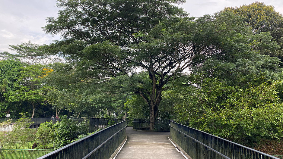 park detail carousel