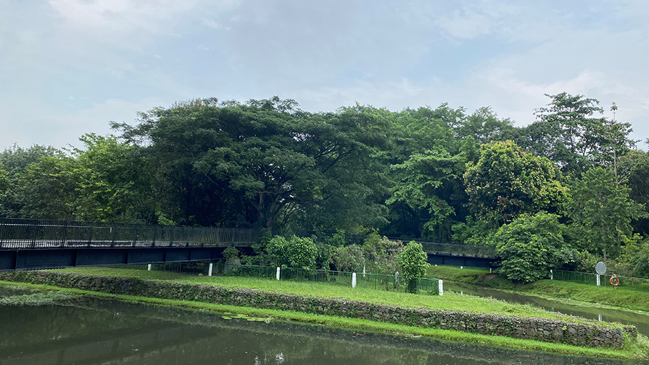 park detail carousel