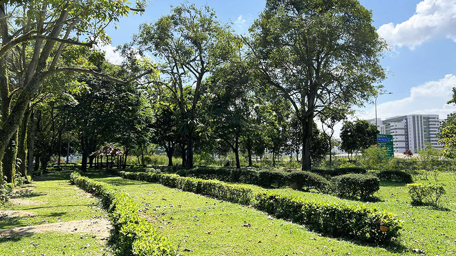 park detail carousel