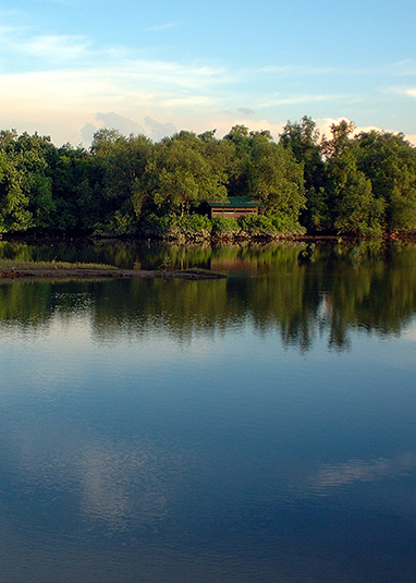 Sungei Buloh Wetland Reserve
