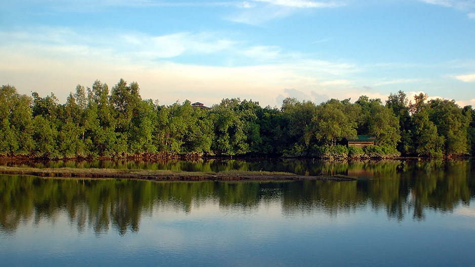 park detail carousel