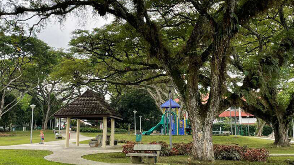 park detail carousel