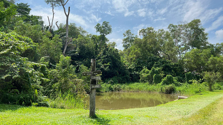 park detail carousel