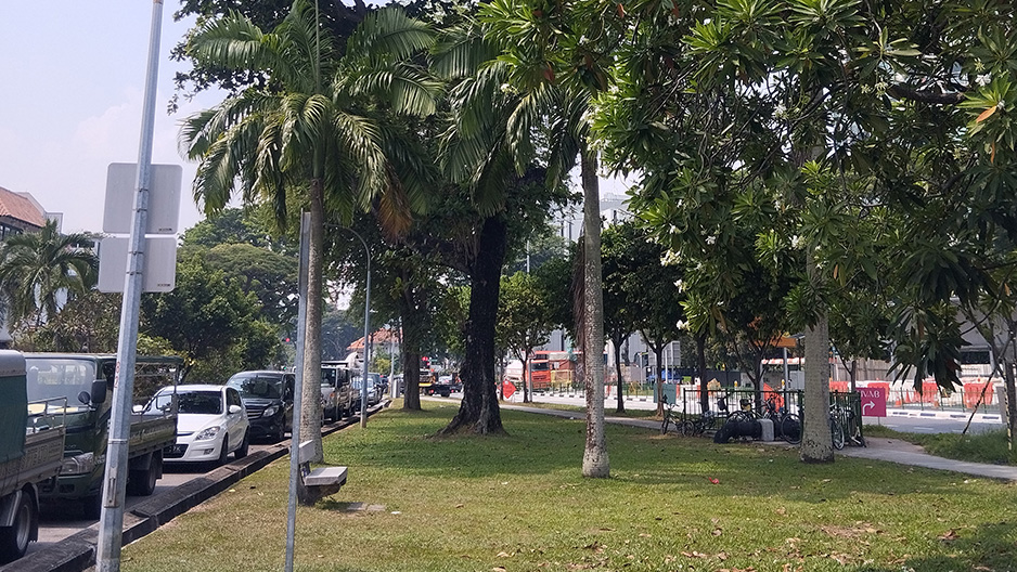 park detail carousel