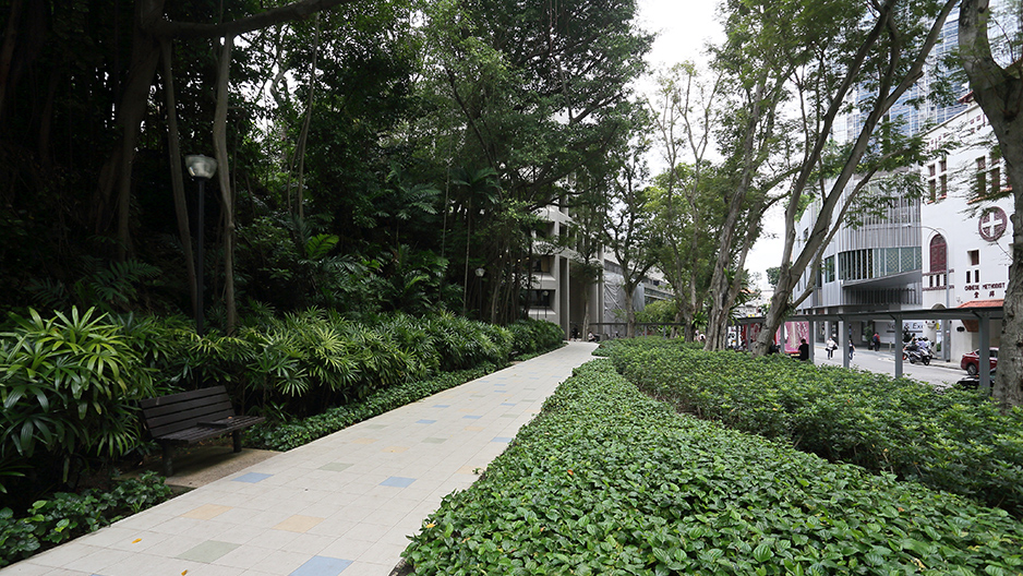 park detail carousel