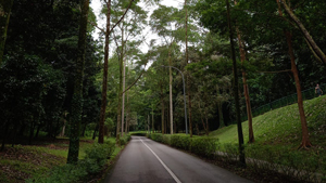 Sembcorp Forest of Giants