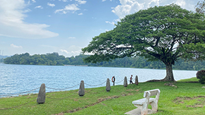 Upper Peirce Reservoir