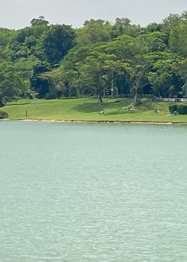 Upper Seletar Reservoir Park