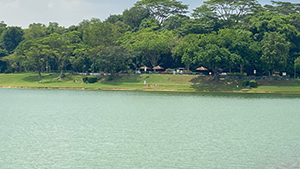 Upper Seletar Reservoir