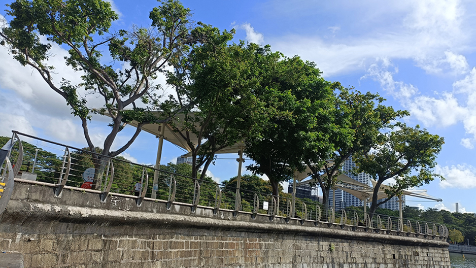 park detail carousel