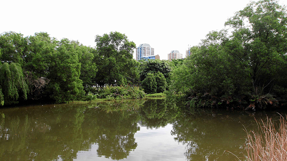 park detail carousel