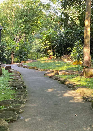 Woodlands Town Park East