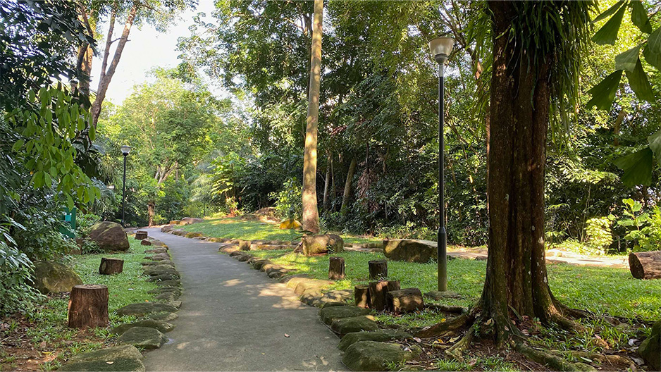 park detail carousel