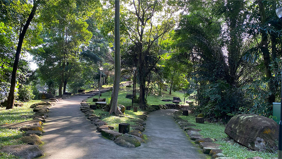 park detail carousel