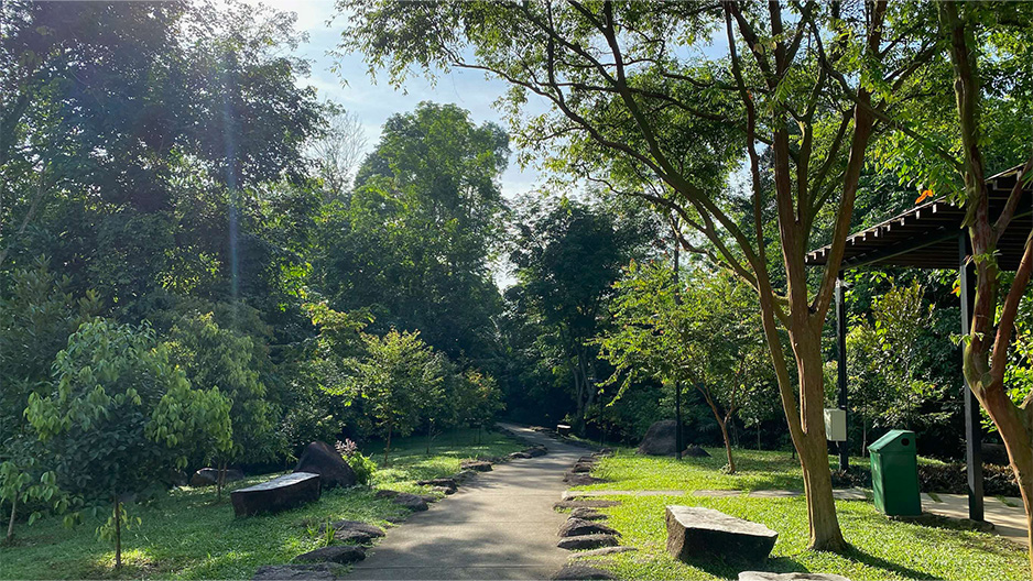 park detail carousel