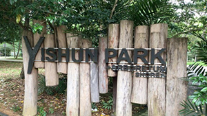 Yishun Arboretum