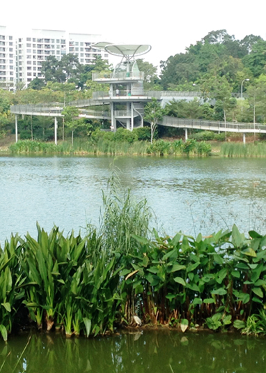 Yishun Pond Park