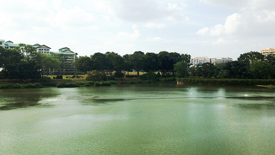 park detail carousel