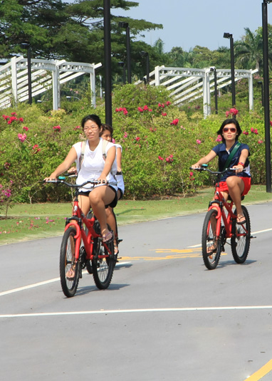 Eastern Coastal Loop