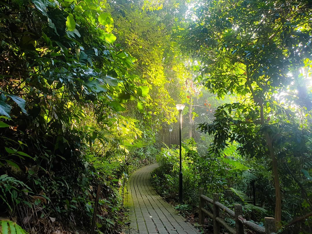 Bukit Batok Nature Park