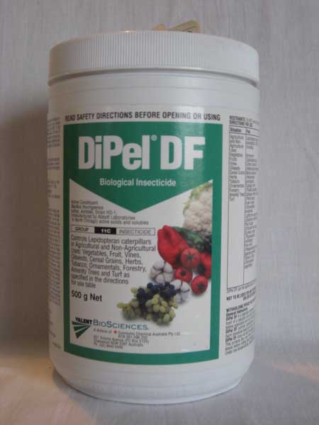 Dipel