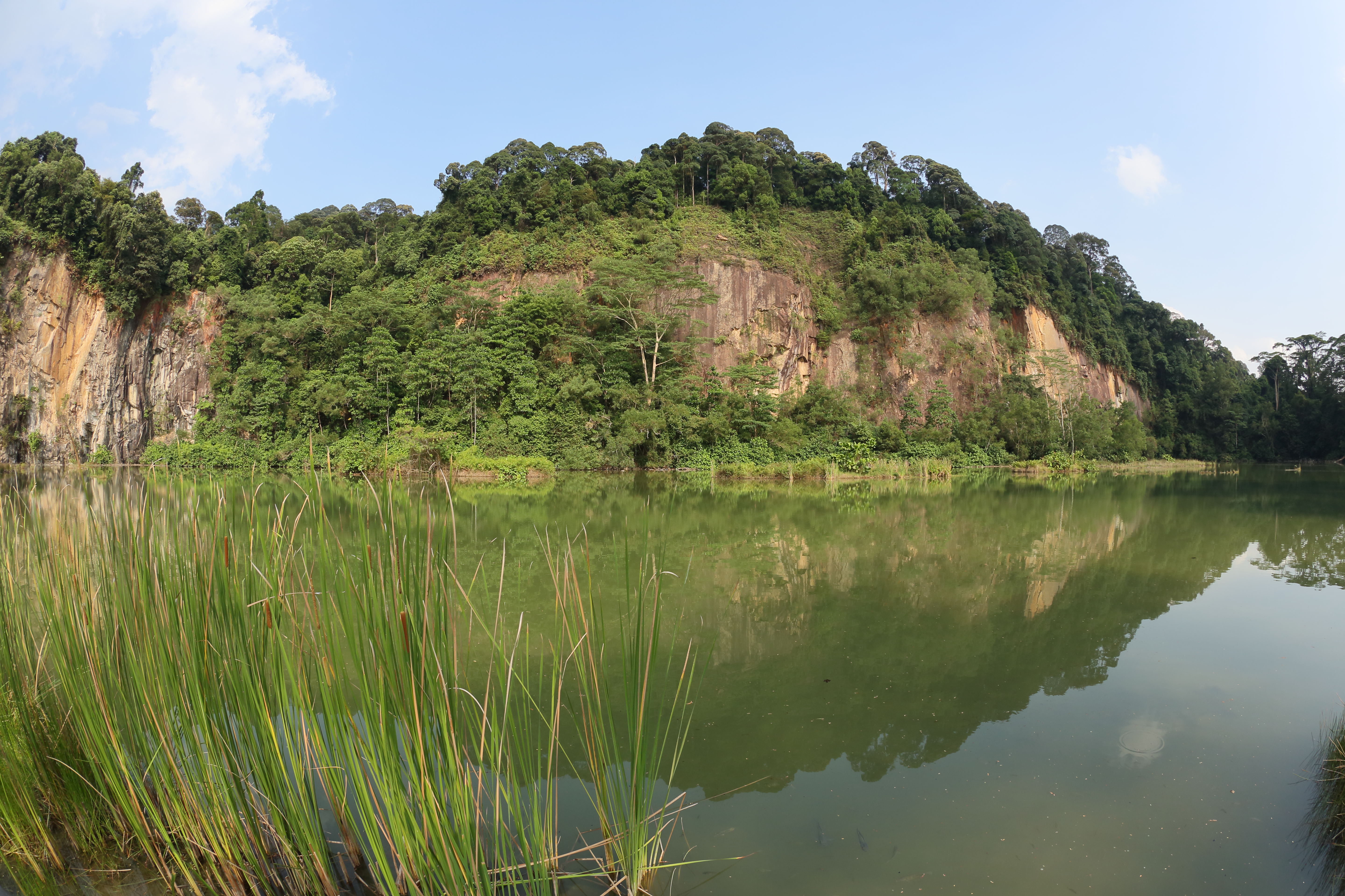 Hindhede Nature Park