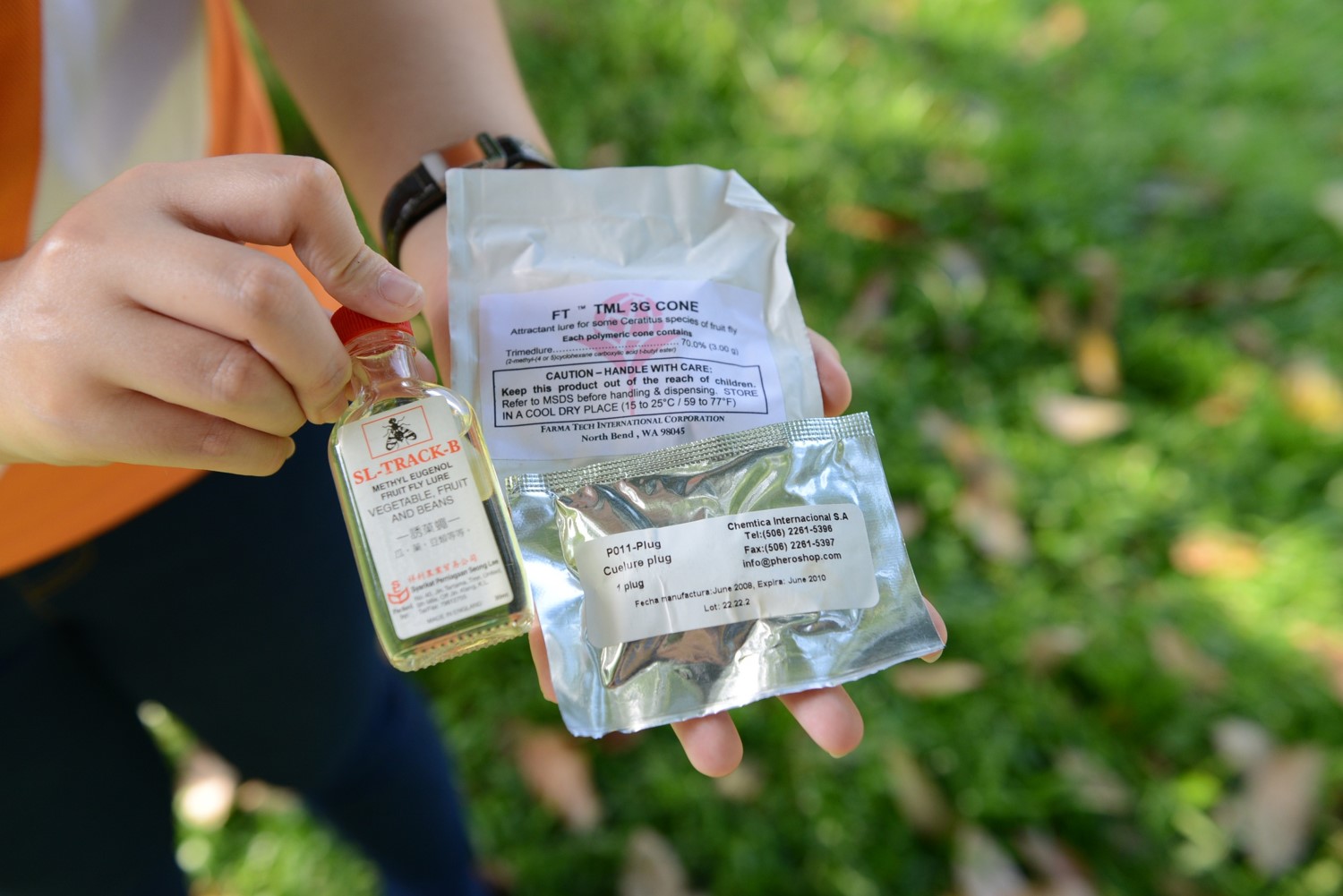 Insect sex pheromones