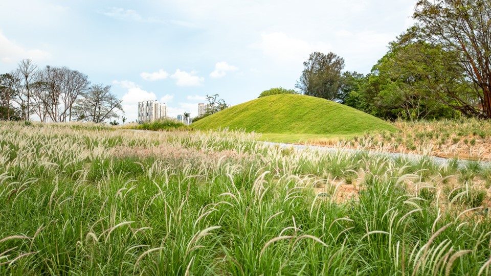 Grasslands_Jurong Lake Gardens