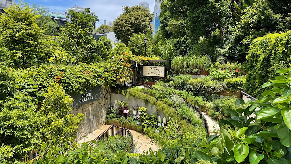 Spice Garden (Carousel)