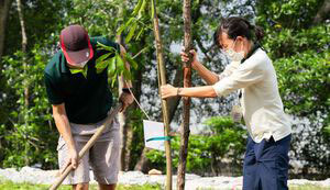 OneMillionTrees movement