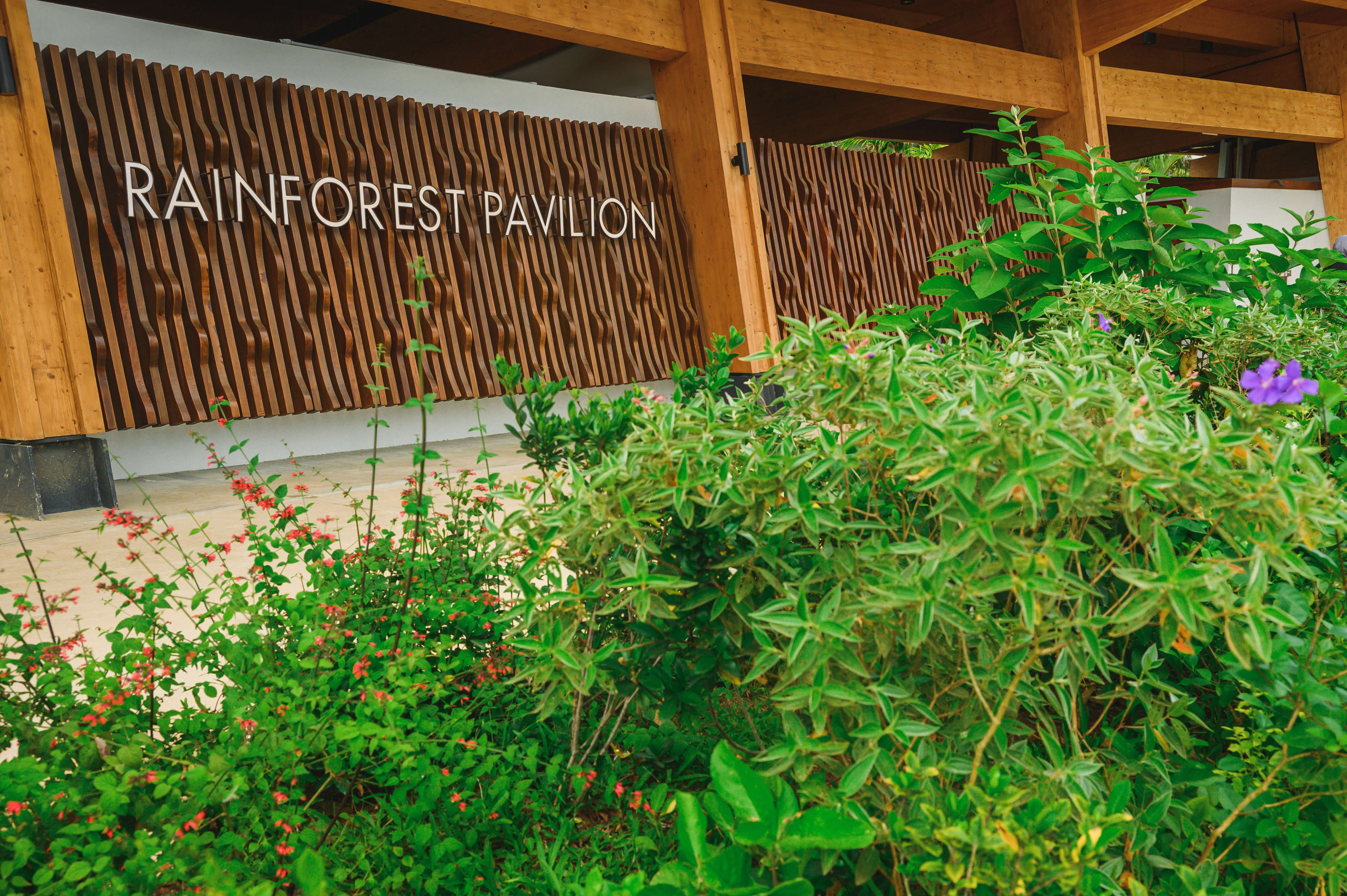 rainforest pavilion