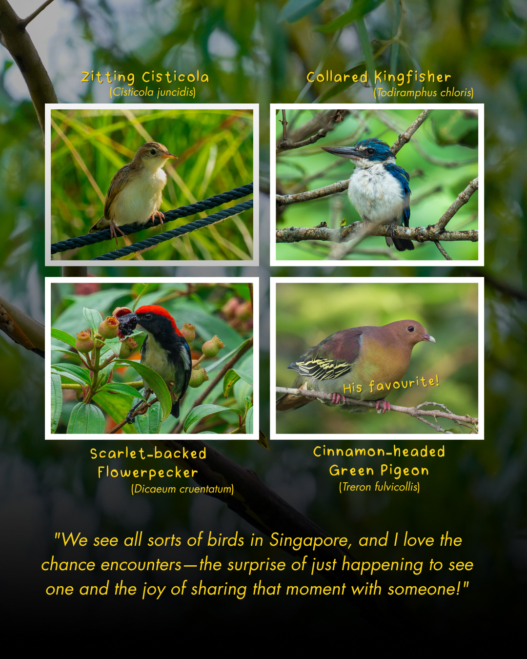 Community in Nature Schools Award 2024 recipients and participants