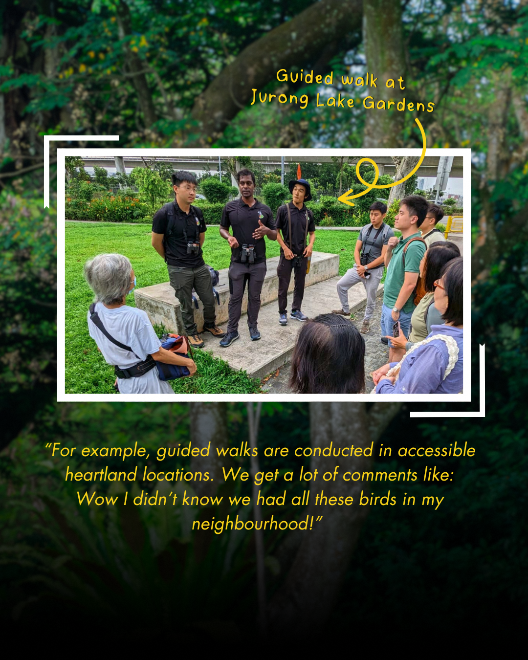 Community bird watching and conservation initiatives
