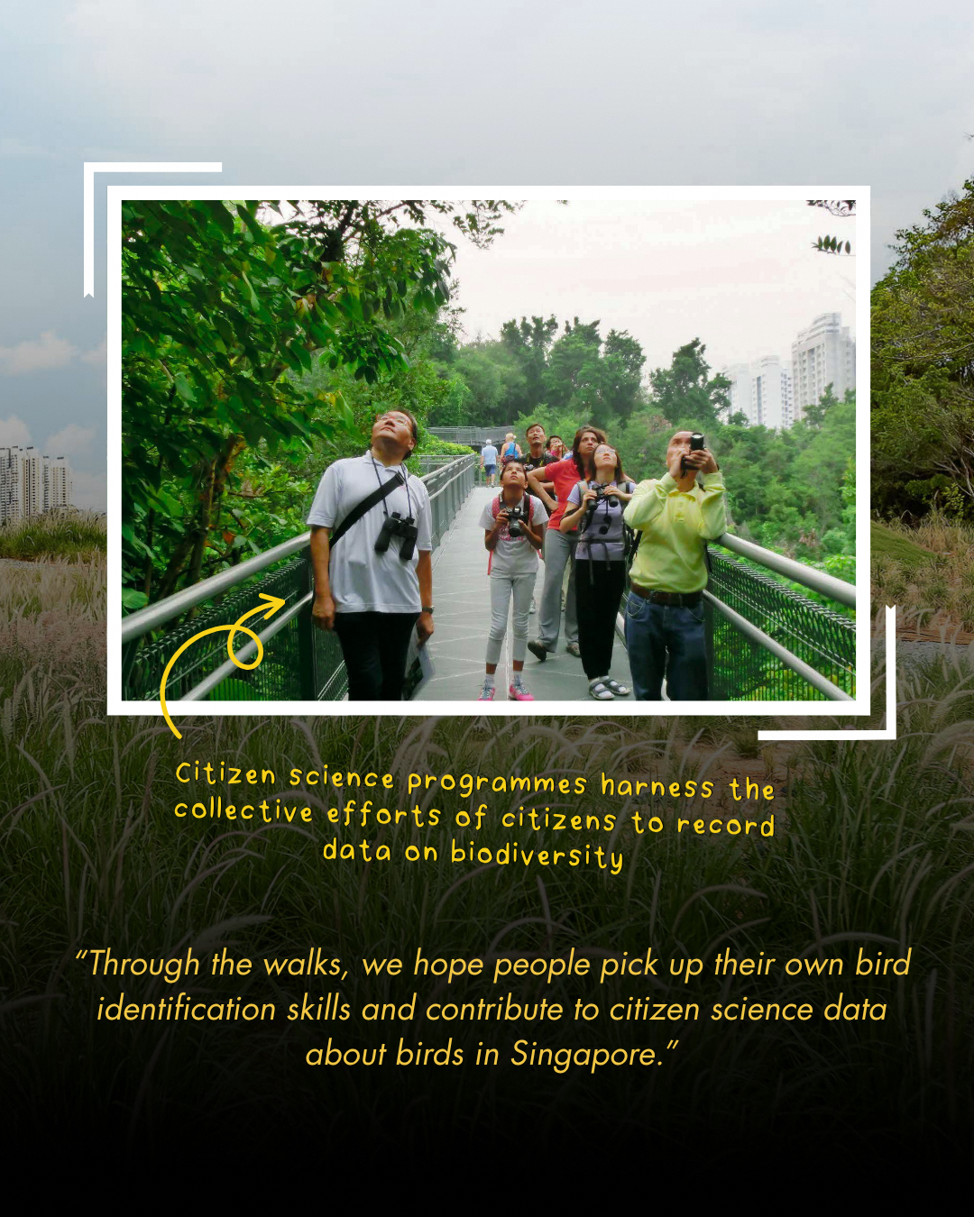 Singapore bird species documentation and research