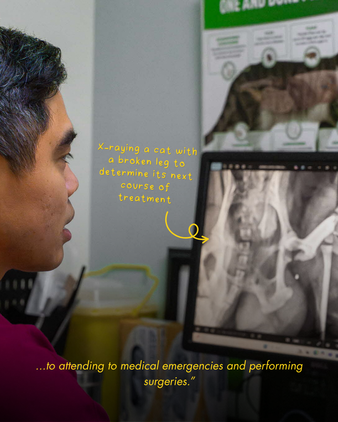 Veterinary telehealth guidelines and professional standards