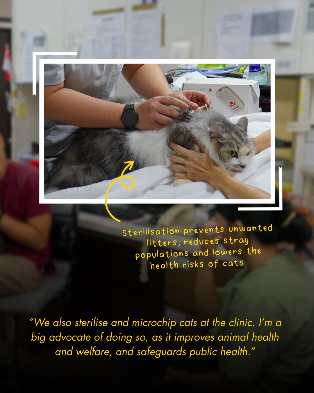 Animal welfare standards for shelters and rehoming partners