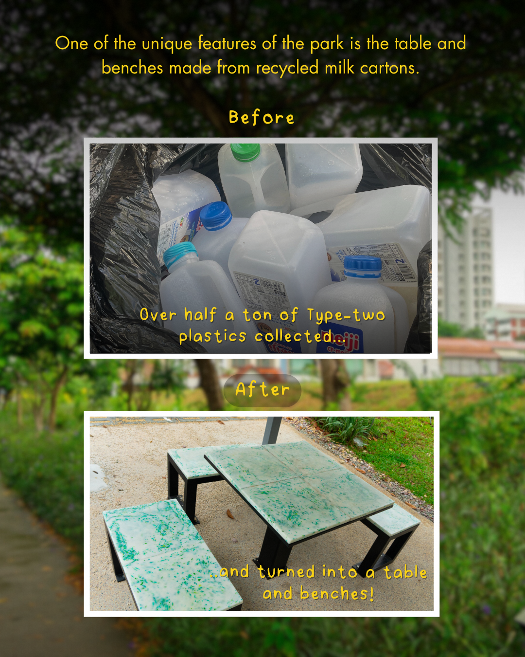 Urban greening and environmental conservation efforts
