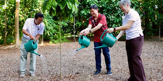 Community members planting trees