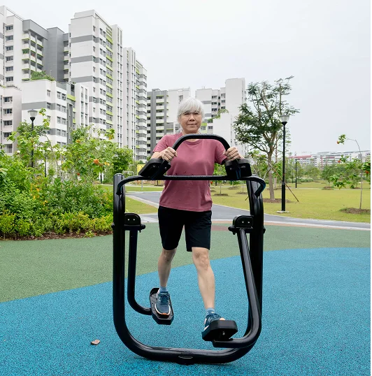 Park-goers on bridge at Tampines Boulevard Park