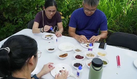 Therapeutic horticulture session
