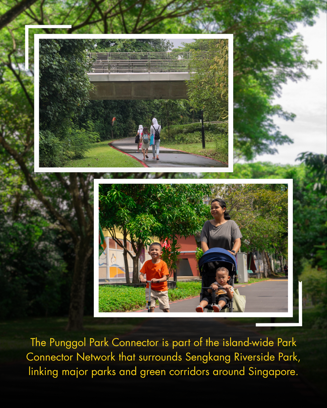 Family cycling and running activities in Singapore parks